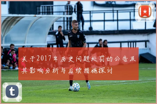 关于2017年历史问题处罚的公告及其影响分析与后续措施探讨